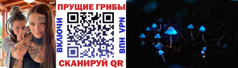 Галлюциногенные грибы мухоморы Лабытнанги